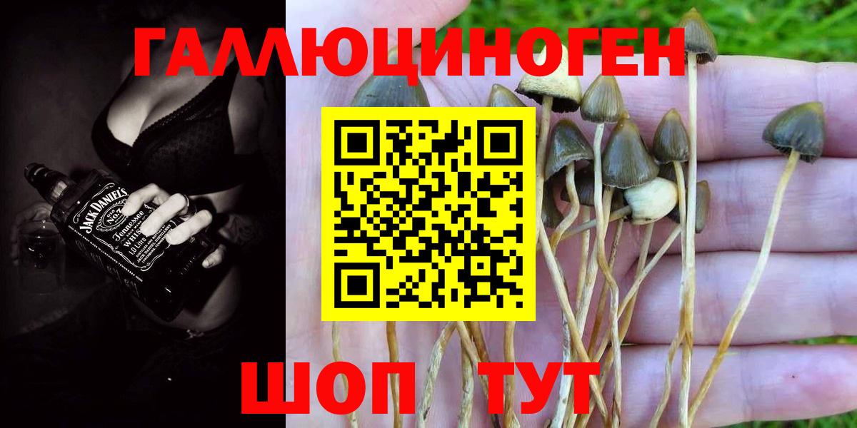 Галлюциногенные грибы GOLDEN TEACHER Белогорск